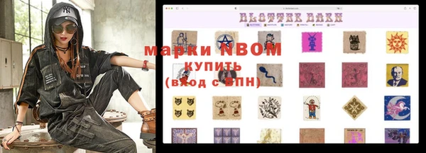 дживик Новозыбков