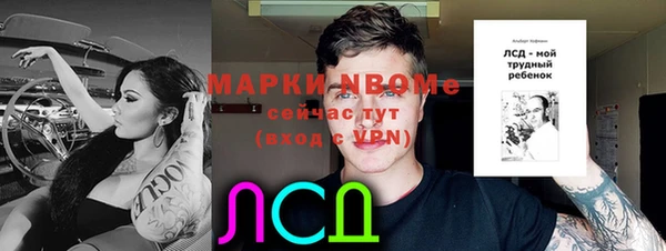 МДПВ Вяземский