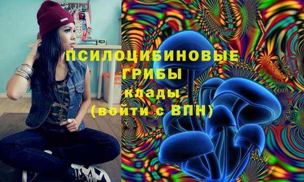 трава Новодвинск