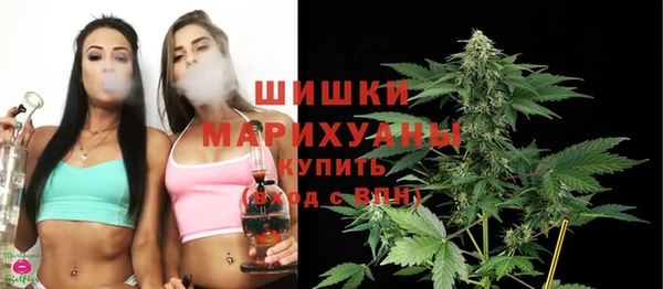 трава Новодвинск