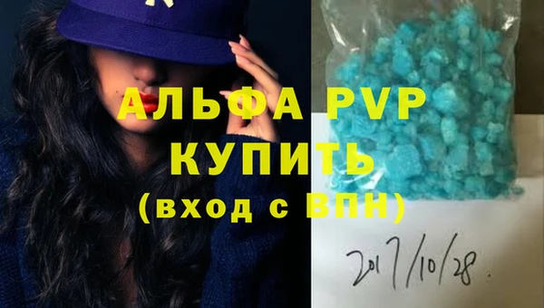 дживик Новозыбков