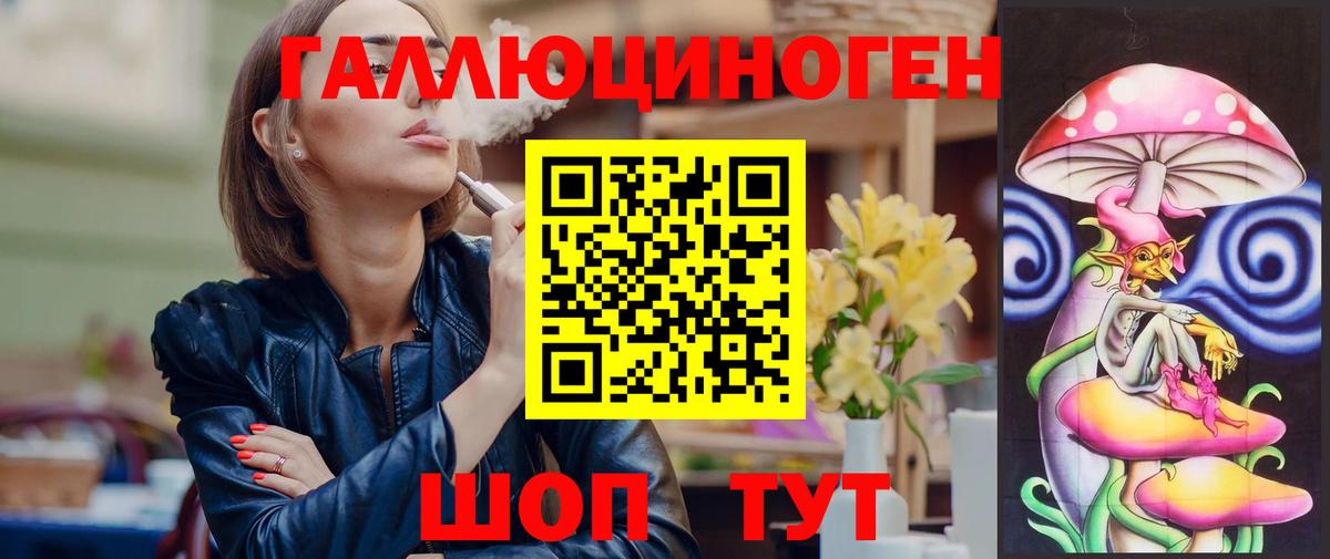 Псилоцибиновые грибы Psilocybe Знаменск
