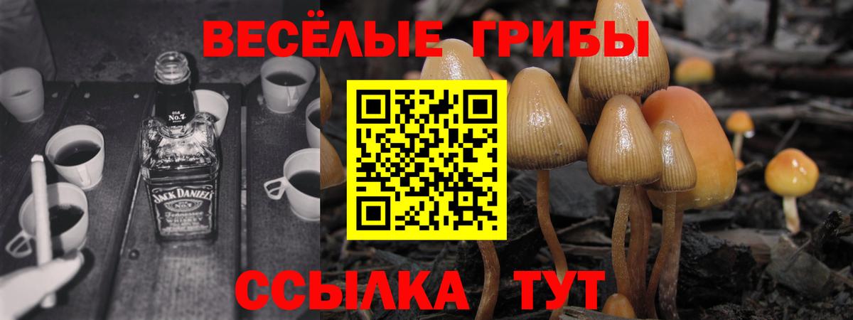 Псилоцибиновые грибы мухоморы  Псилоцибиновые грибы Psilocybine cubensis  Знаменск  Вход с VPN 