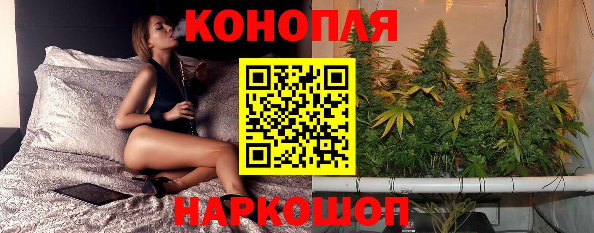 Знаменск  Бошки марихуана OG Kush  Вход с VPN  Шишки марихуана сатива  Шишки марихуана сатива 